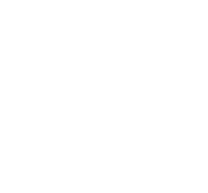 Quattro Theory