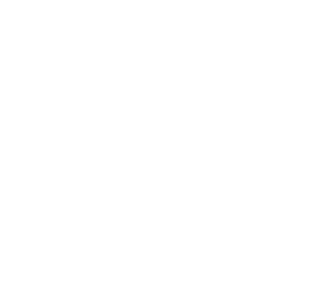 Bravium And Outlier